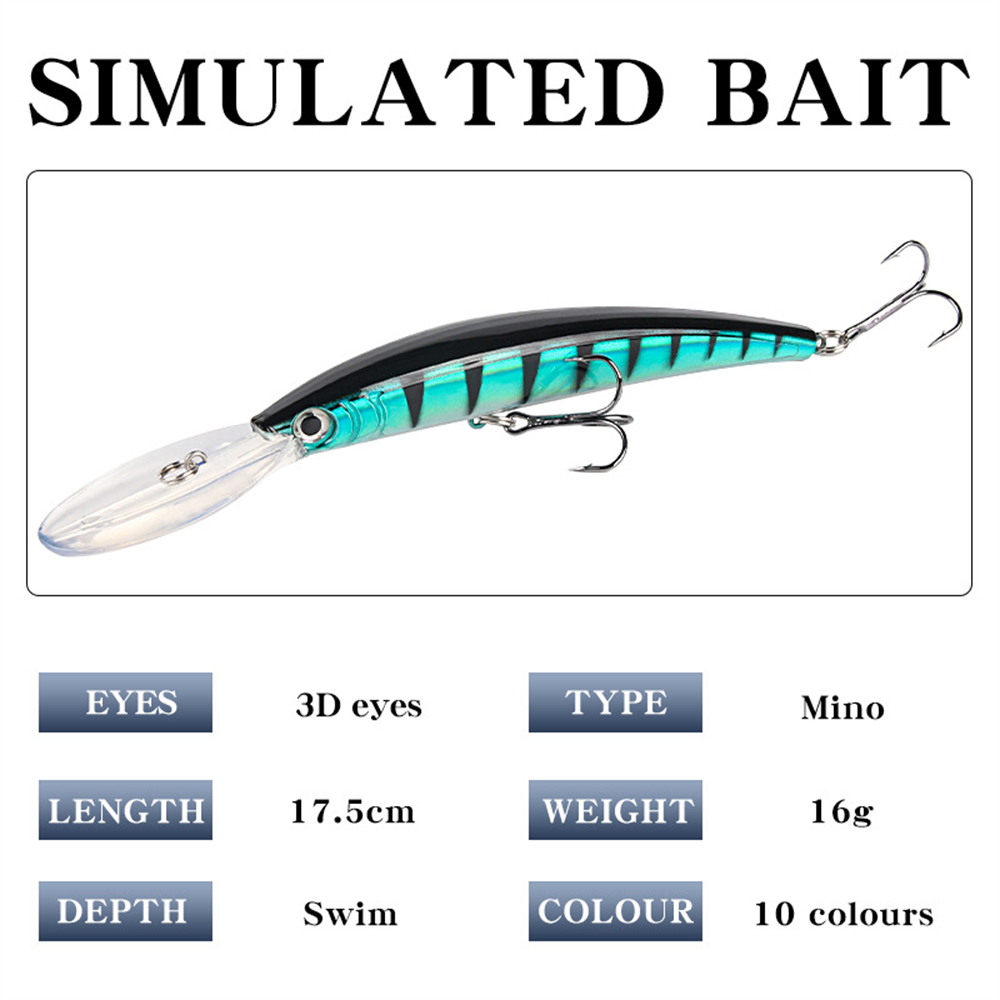 Long Tongue Minnow Fishing Lur - Fishing Lure Jerkbait review and price