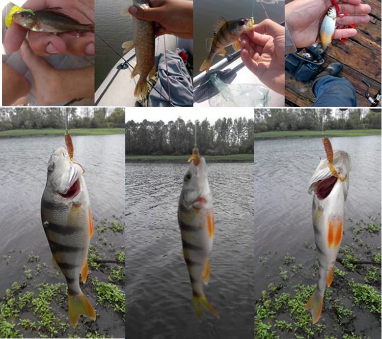 JYJ 5pcs/bag 1g jig hook with  - Fishing Lure Soft Plastic review and price