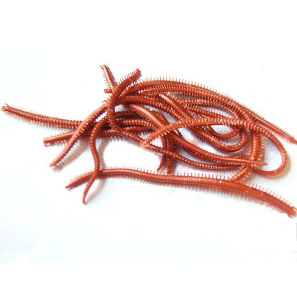 10PCS/Lot Artificial Sea Worms - Fishing Lure Soft Plastic review and price