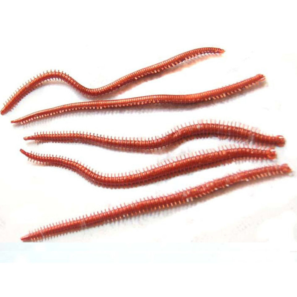10PCS/Lot Artificial Sea Worms - Fishing Lure Soft Plastic review and price